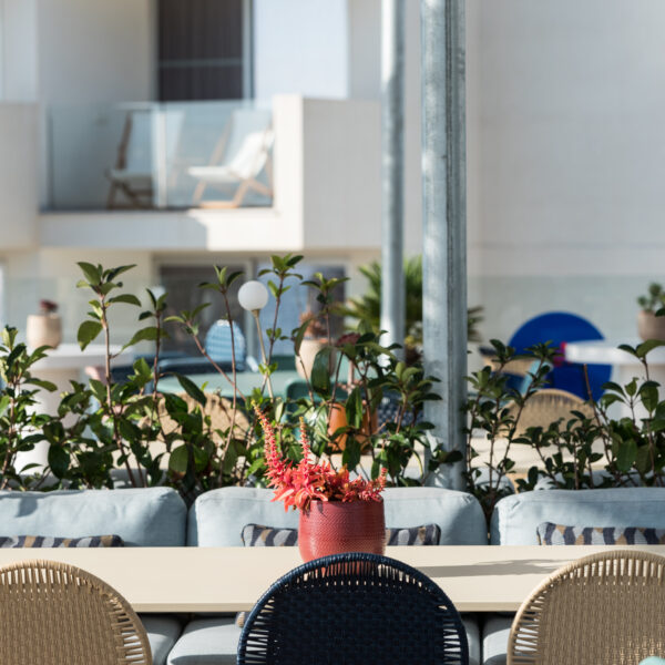 shalllosunclub_restaurant_azotea_interiorismo (2)